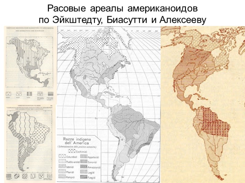Расовые ареалы американоидов по Эйкштедту, Биасутти и Алексееву